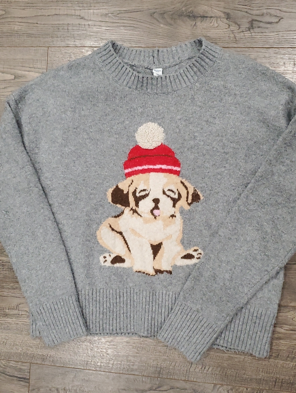 Arizona Jean Company Gray Puppy Sweater with Red Hat